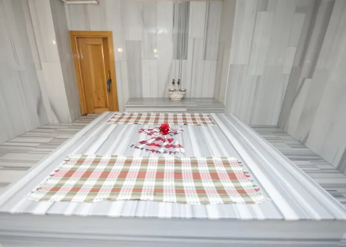 Seaden Sweet Park シダ